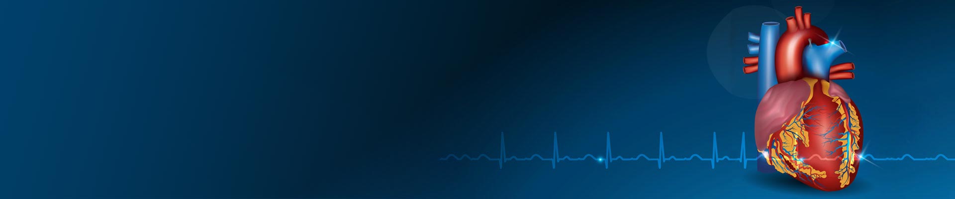 banner1